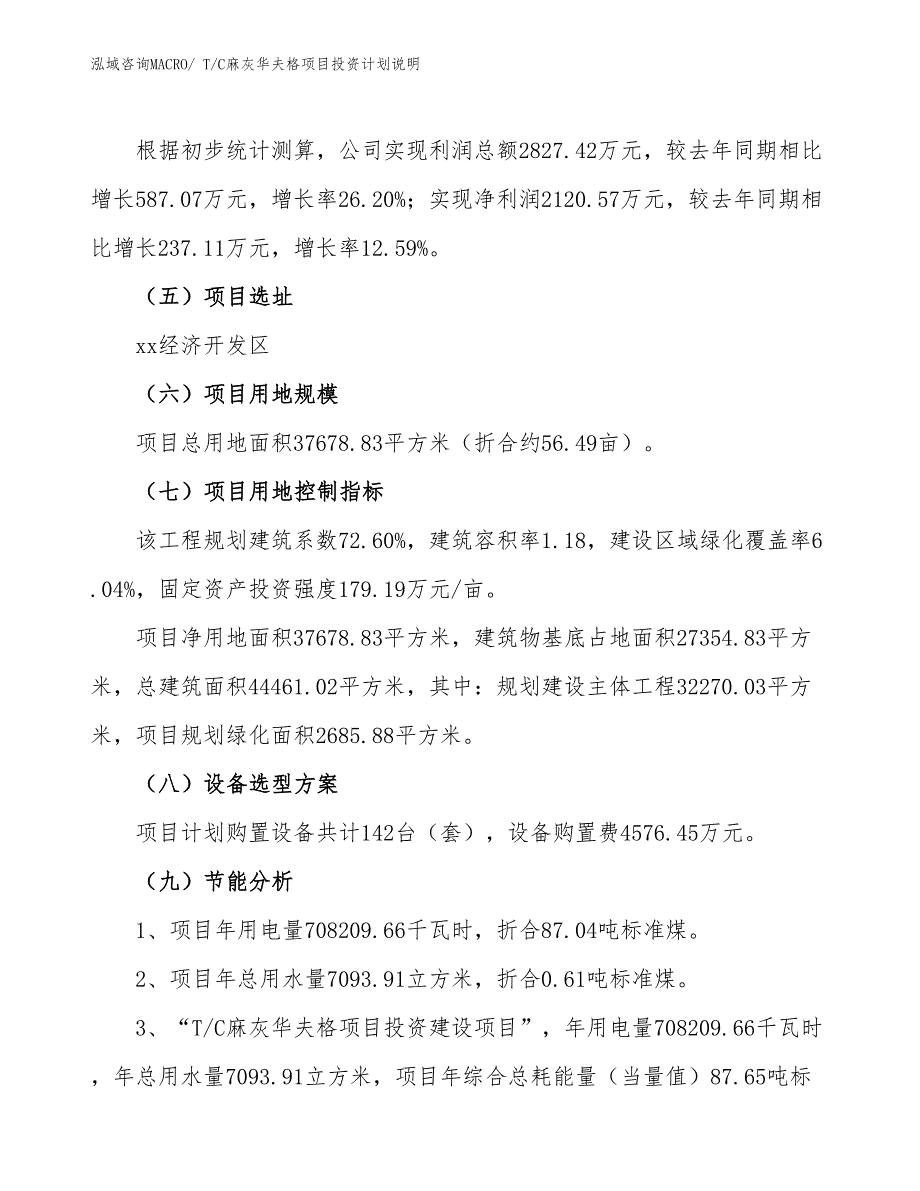 T_C麻灰华夫格项目投资计划说明_第3页