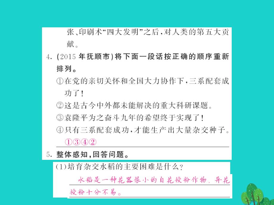 2018年八年级语文上册 第二单元 第8课《杂交水稻之父-袁隆平》课件 （新版）语文版_第4页