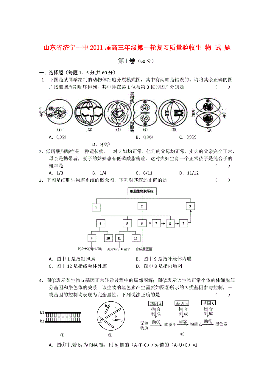 山东省济宁一中2011届高三生物第一轮复习质量验收_第1页