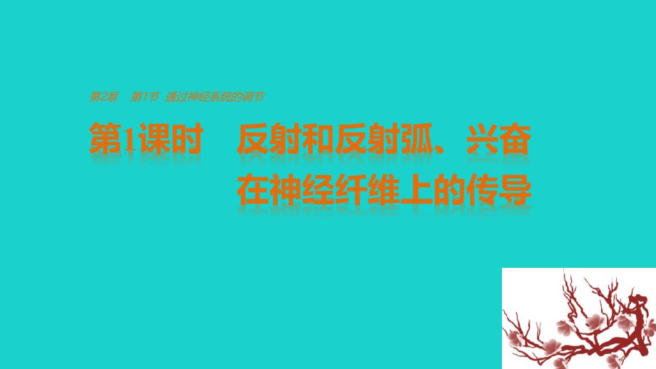 2017-2018学年高中生物 第2章 动物和人体生命活动的调节 第1节 通过神经系统的调节 第1课时 反射和反射弧、兴奋在神经纤维上的传导课件 新人教版必修3_第1页