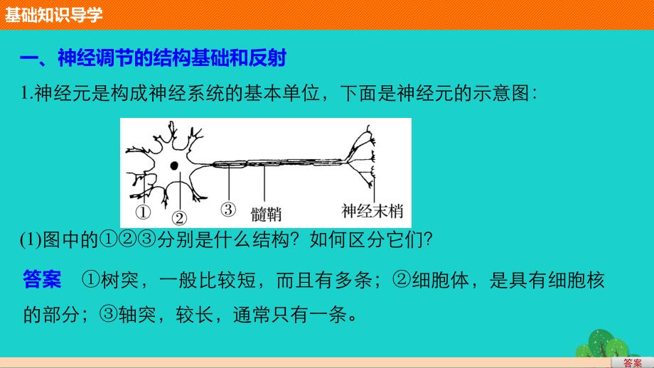 2017-2018学年高中生物 第2章 动物和人体生命活动的调节 第1节 通过神经系统的调节 第1课时 反射和反射弧、兴奋在神经纤维上的传导课件 新人教版必修3_第4页