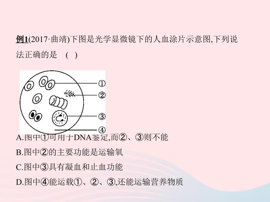 云南中考生物第13讲人的血液循环系统课件_第4页