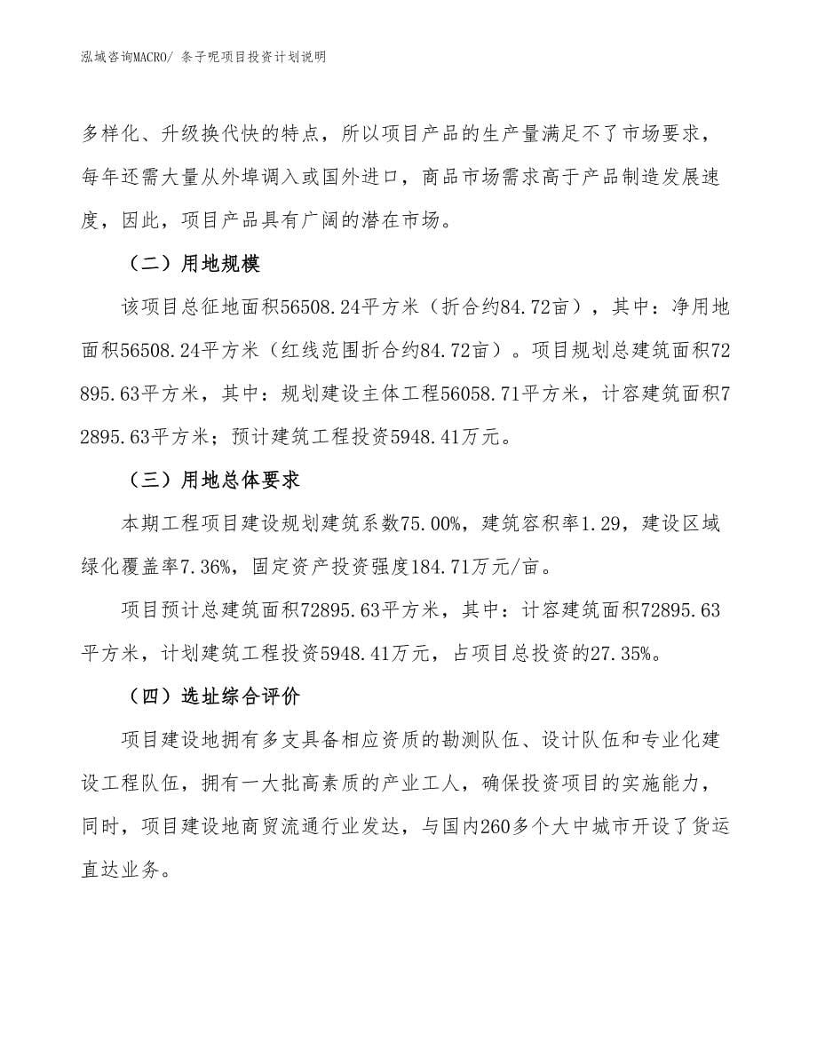 条子呢项目投资计划说明_第5页