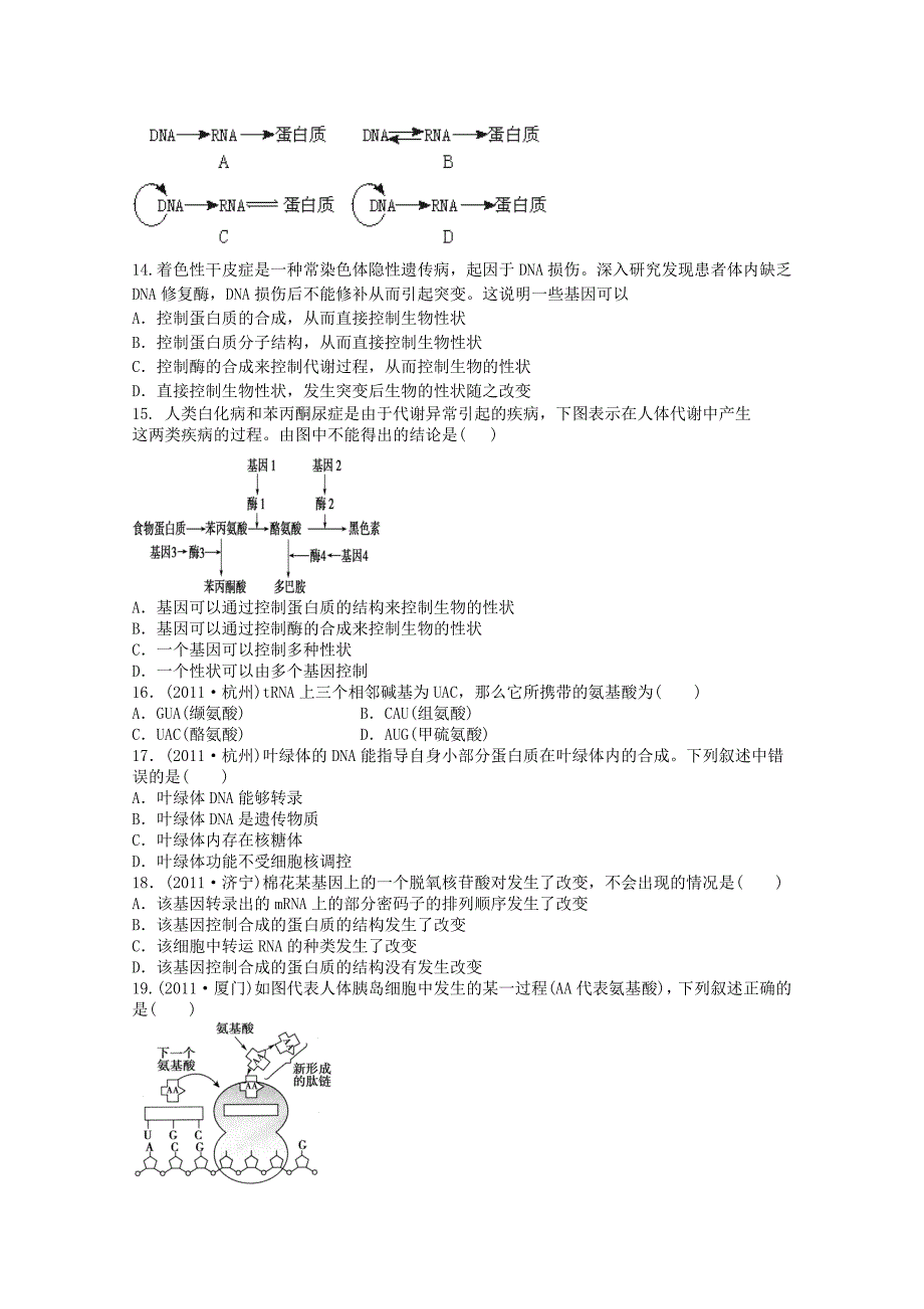 天津市2012届高考生物 《基因的表达》单元测试10 新人教版必修2_第3页