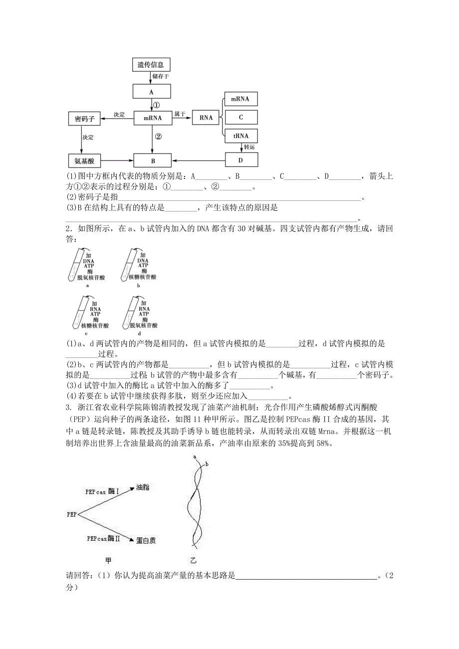 天津市2012届高考生物 《基因的表达》单元测试10 新人教版必修2_第5页