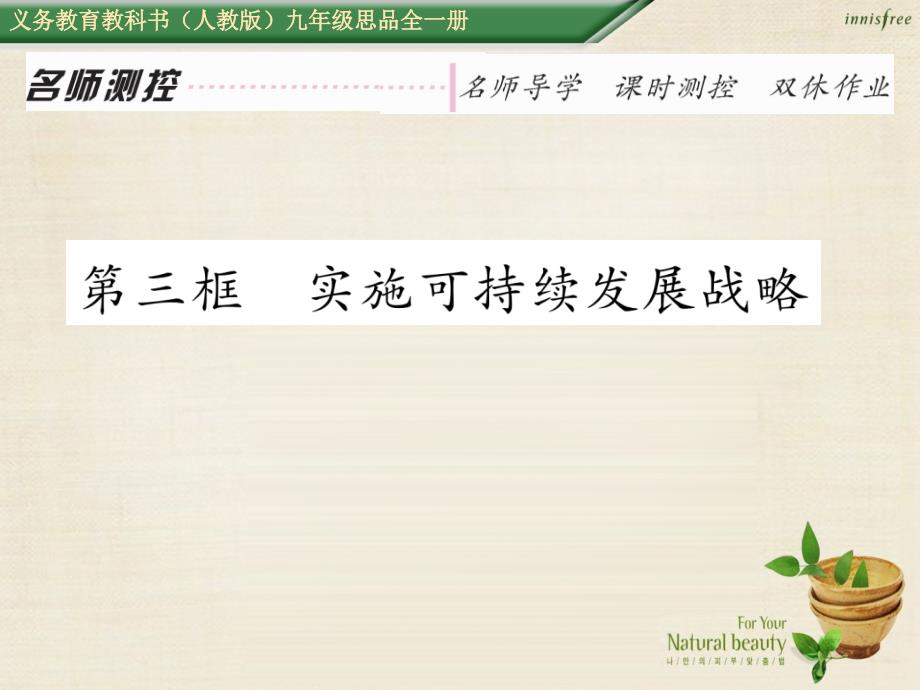 2018年秋九年级政治全册 第四课 了解基本国策与发展战略 第3框 实施可持续发展战略课件 新人教版_第1页