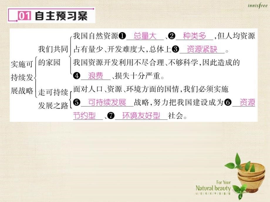 2018年秋九年级政治全册 第四课 了解基本国策与发展战略 第3框 实施可持续发展战略课件 新人教版_第5页