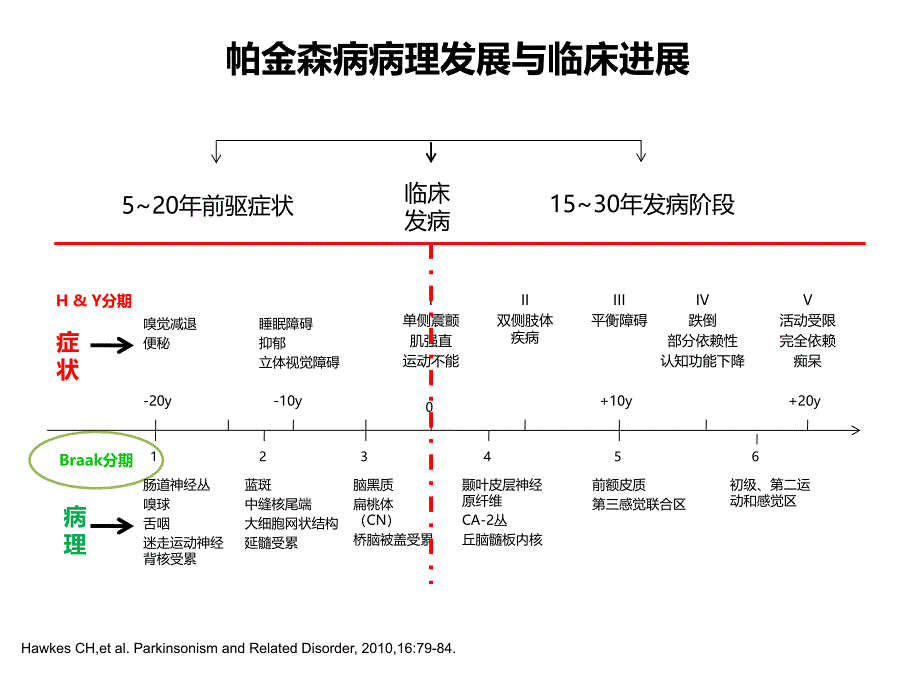 年mds帕金森病临床诊断标准_第2页