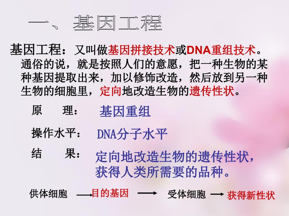 2017-2018高中生物 6.2 基因工程及其应用课件 新人教版必修2_第3页