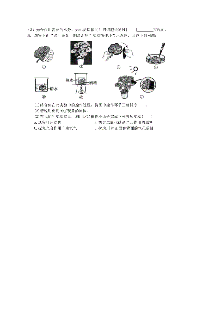 3.4 绿色植物是有机物的生产者 试卷.doc_第3页