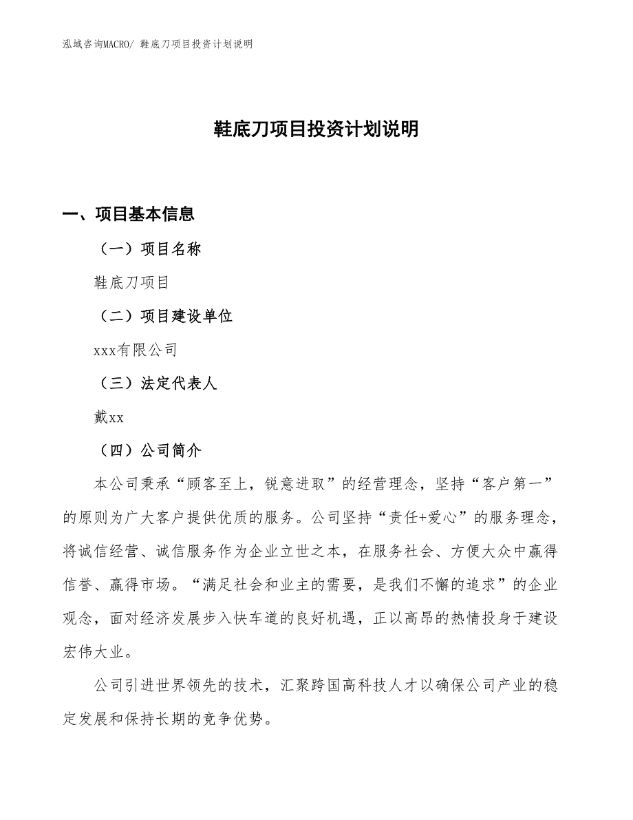 鞋底刀项目投资计划说明_第1页