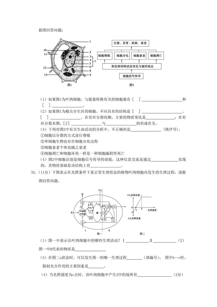 山东省潍坊市2012年高二生物寒假作业（一）试题_第5页