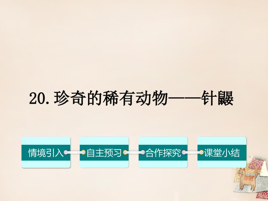 2018春七年级语文下册 第五单元 20《珍奇的稀有动物——针鼹》课件 （新版）语文版_第1页