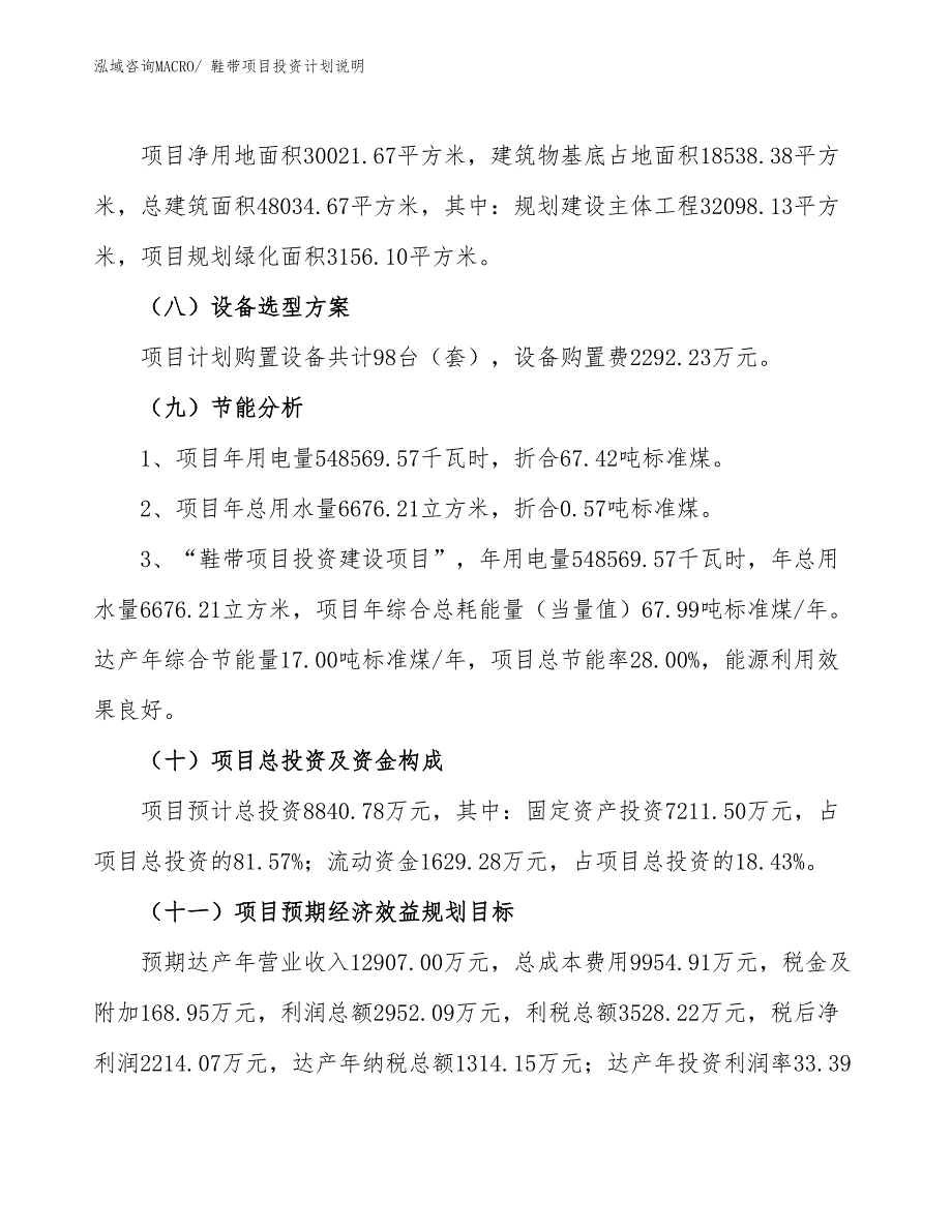 鞋带项目投资计划说明_第3页