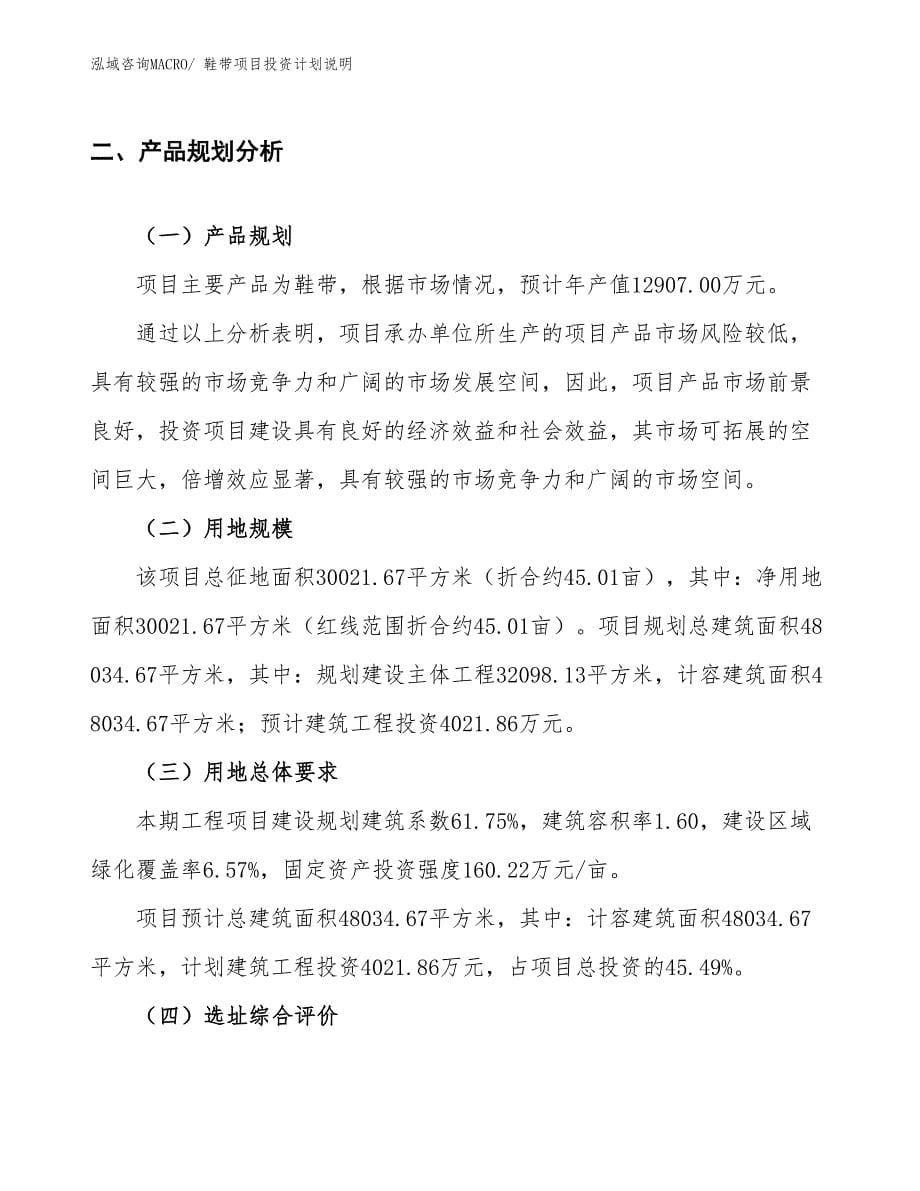 鞋带项目投资计划说明_第5页