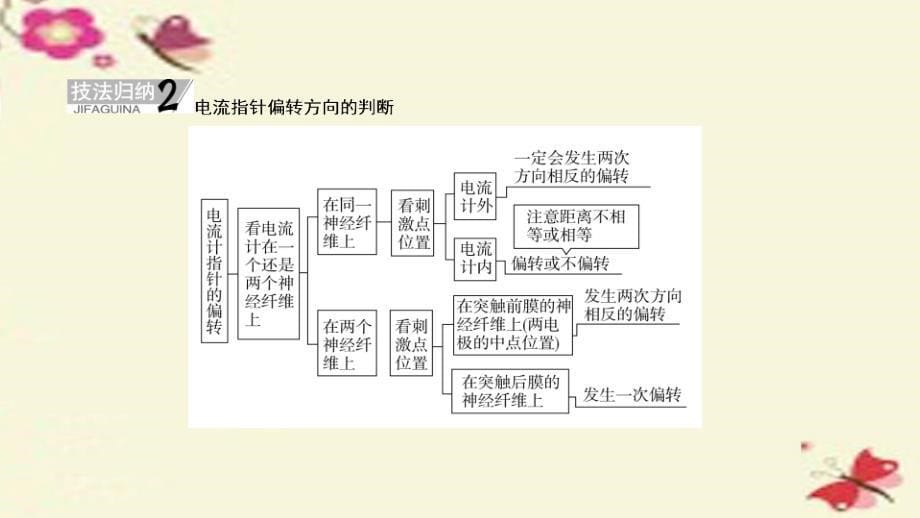 2018年高考生物一轮复习 第8单元 生命活动的调节与免疫阶段性总结课课件 新人教版必修2_第5页