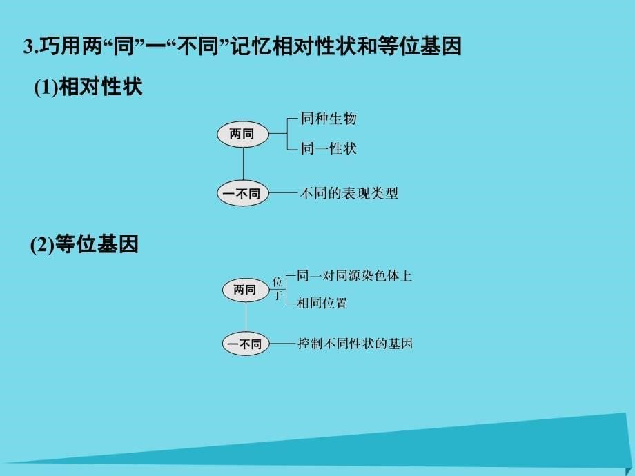 2018版高考生物一轮总复习 专题10 基因的分离定律和自由组合定律课件_第5页