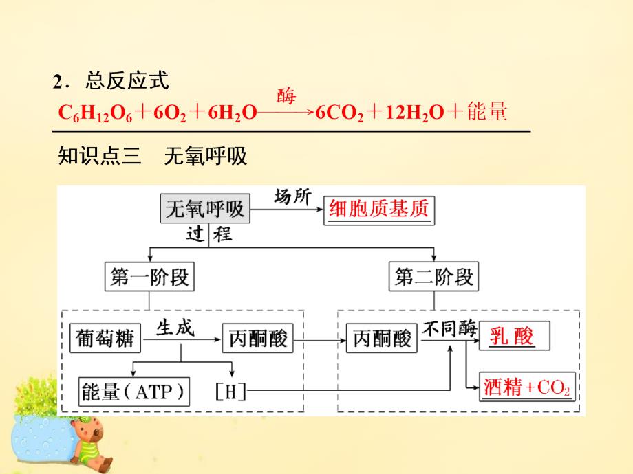 2018届高三生物一轮复习 第三单元 细胞的能量供应和利用 第二讲 atp与细胞呼吸（第1课时）atp 细胞呼吸的类型和过程课件（必修1）_第4页