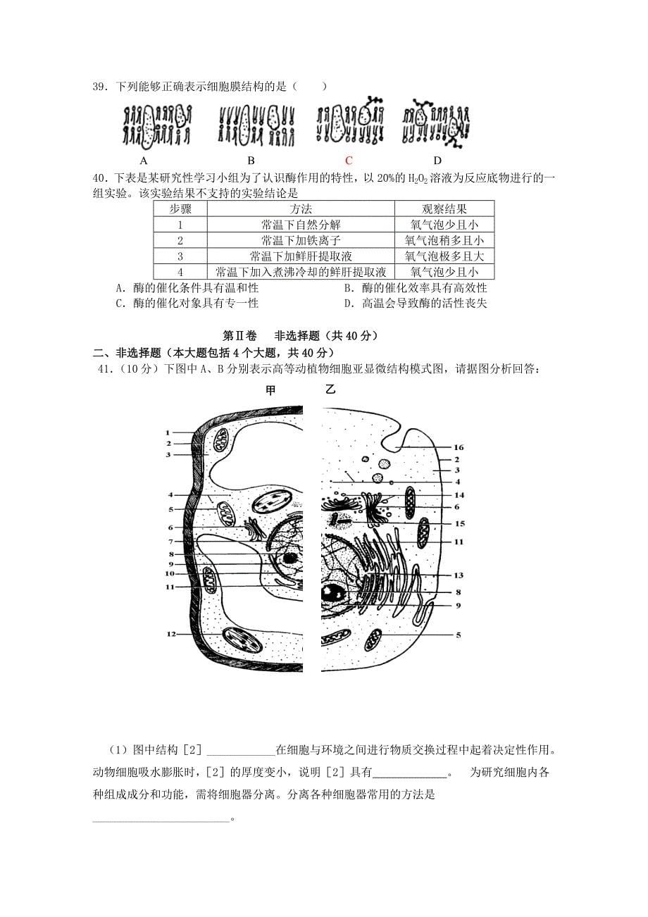 广西省2014-2015学年高一生物上学期段考试卷_第5页