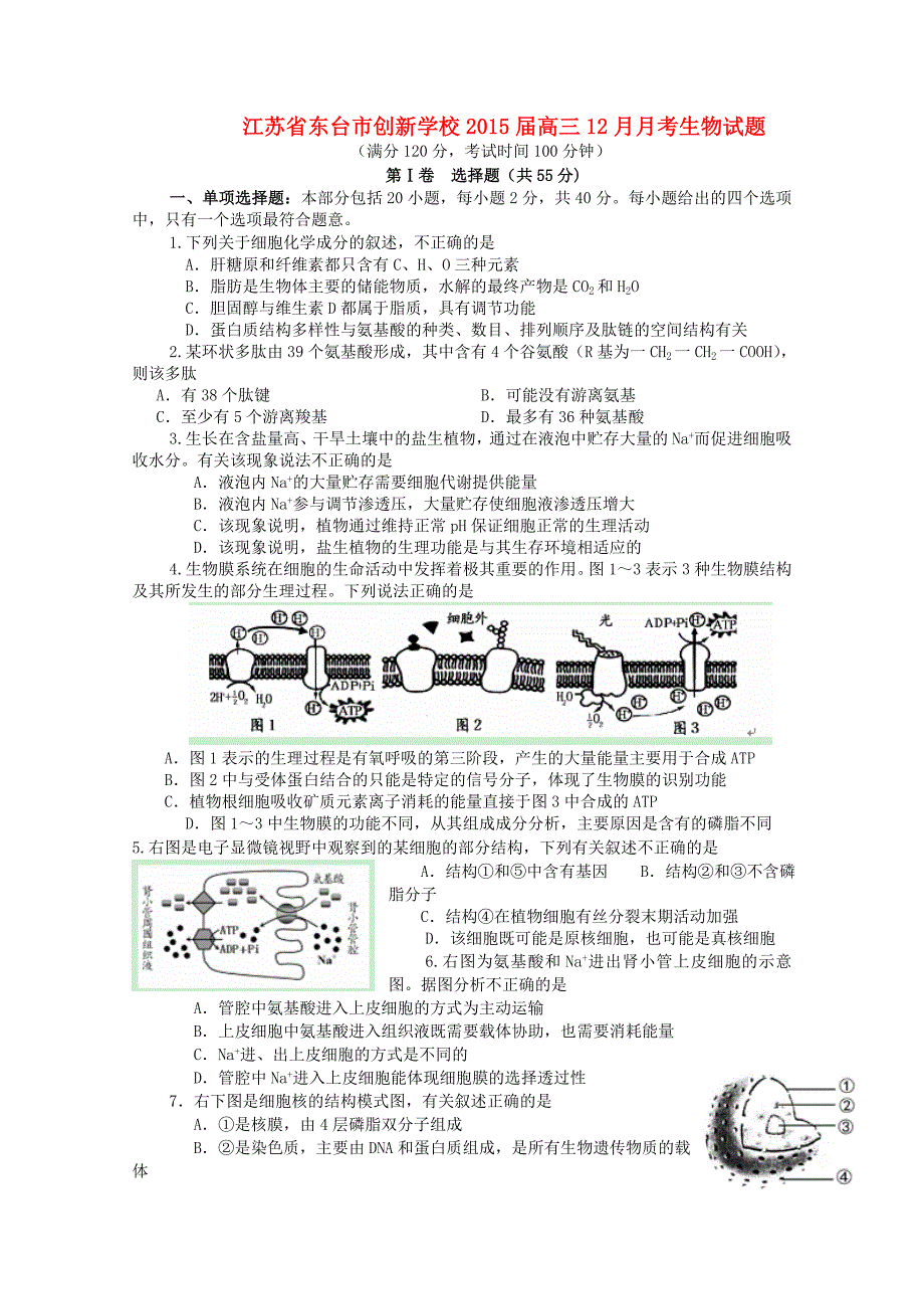 江苏省东台市创新学校2015届高三生物12月月考试题_第1页