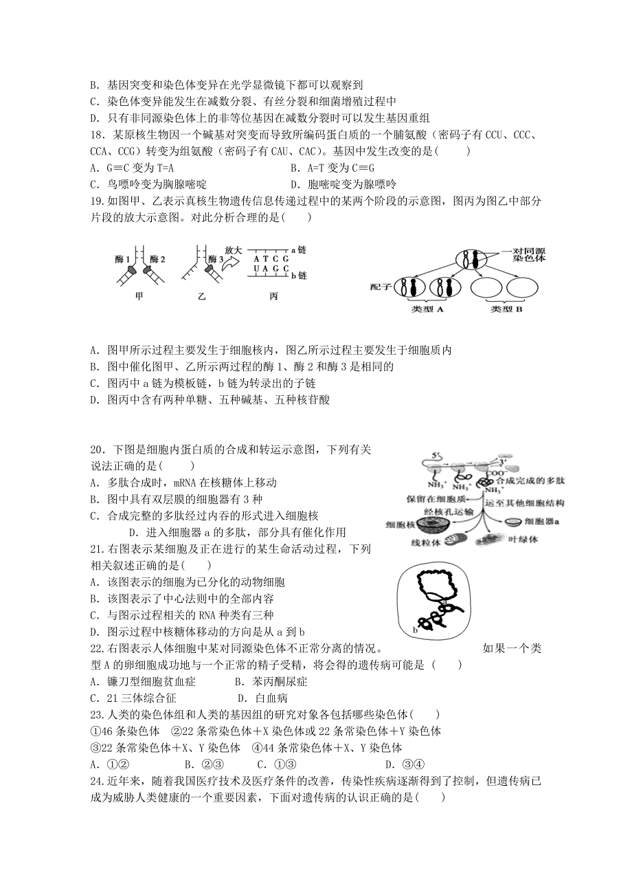 山东省胶州一中2015届高三生物上学期10月第一次质量检测试卷_第4页