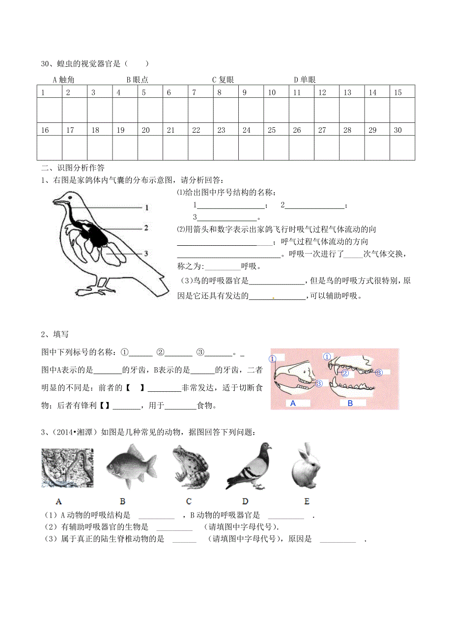 八年级生物上册 第一章 第4-6节 脊椎动物测试题 （新版）新人教版_第3页