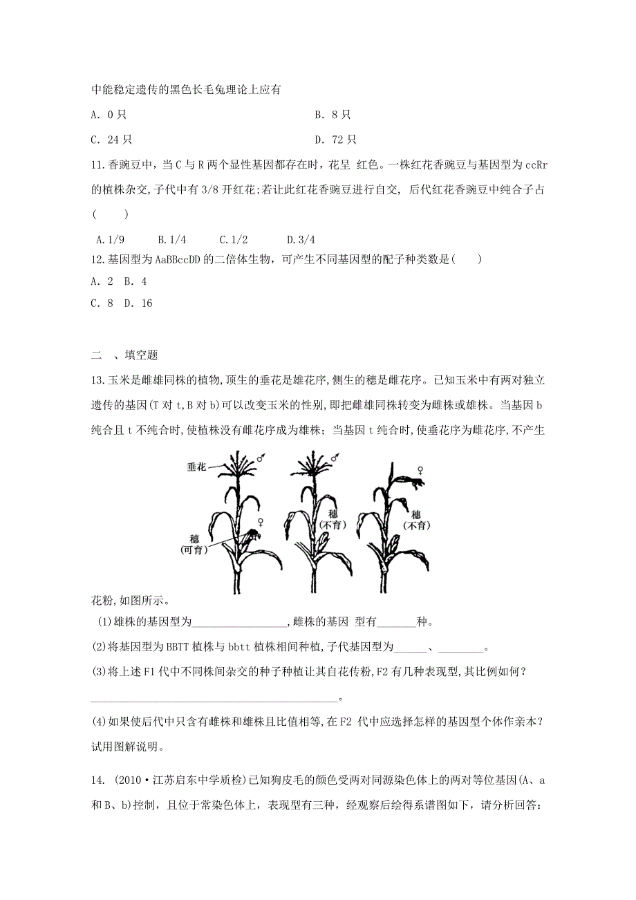 2012届高三生物二轮复习 遗传规律专题练习1 新人教版_第3页