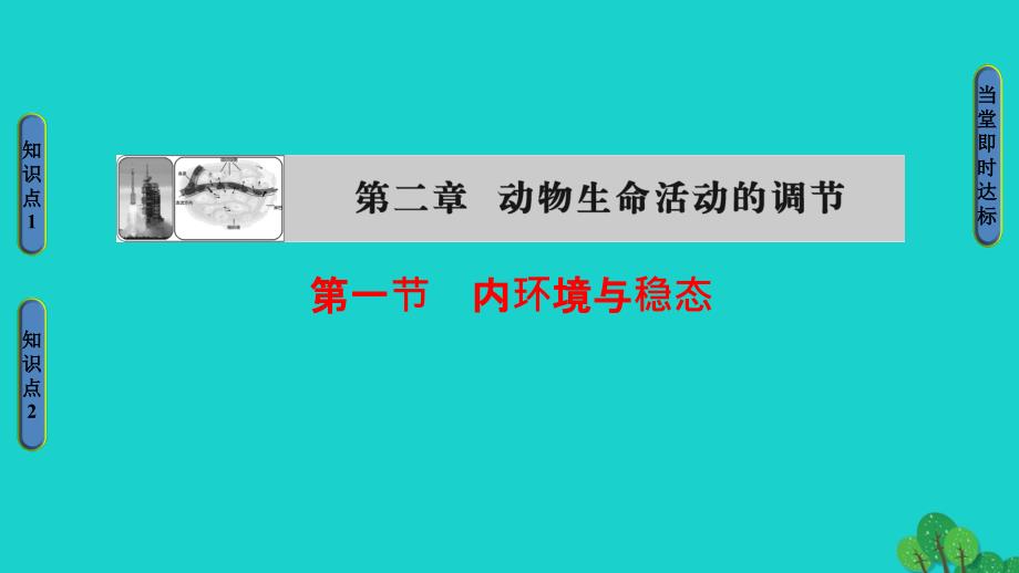 2017-2018学年高中生物第2章动物生命活动的调节第1节内环境与稳态课件浙科版必修_第1页