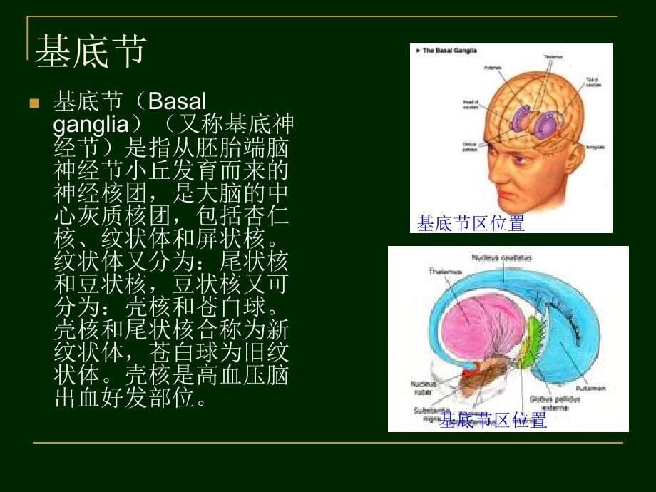 年月左基底节区梗死护理查房_第5页