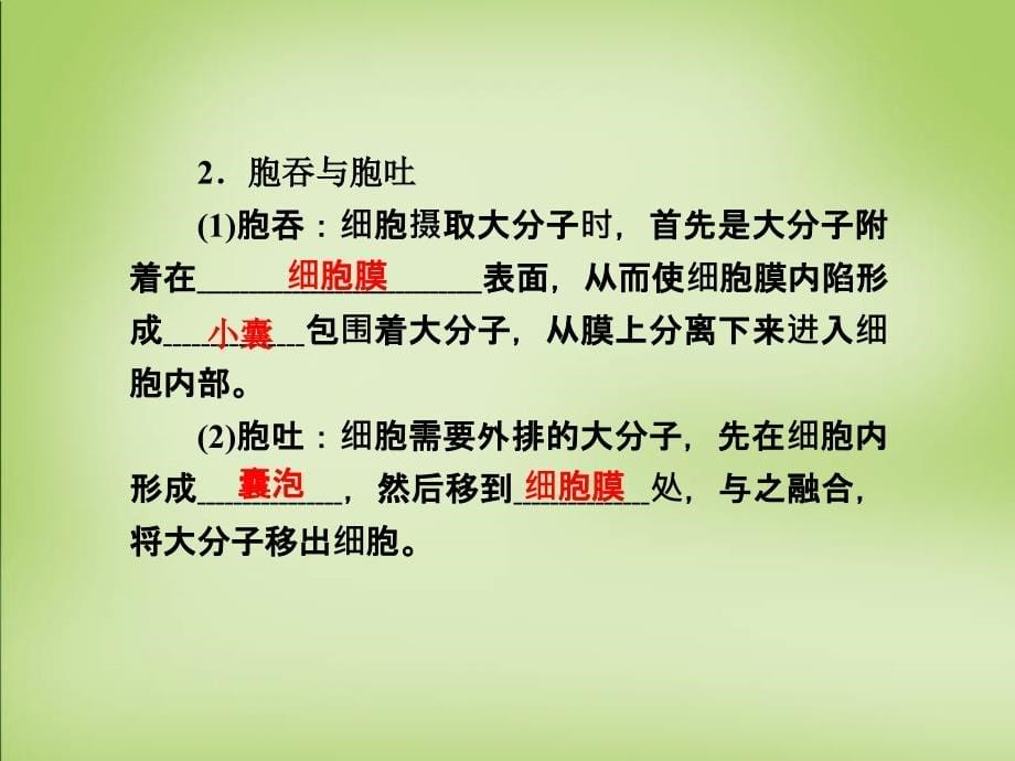 2018届高考生物一轮总复习 第二单元 第三讲 物质跨膜运输的实例和方式课件_第5页