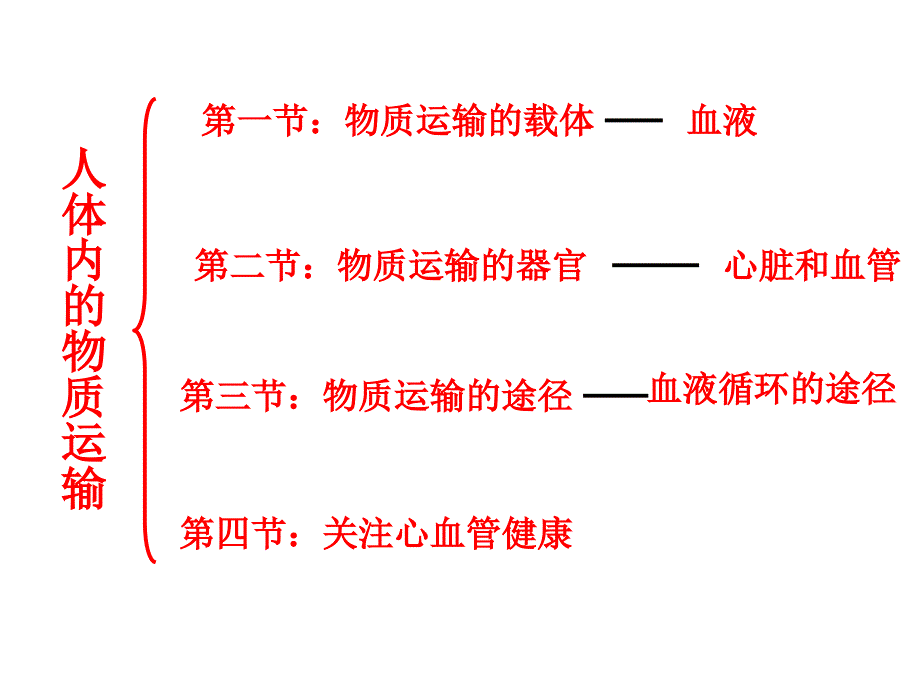 3.3.8物质运输的载体 课件 济南版七年级下册.ppt_第3页