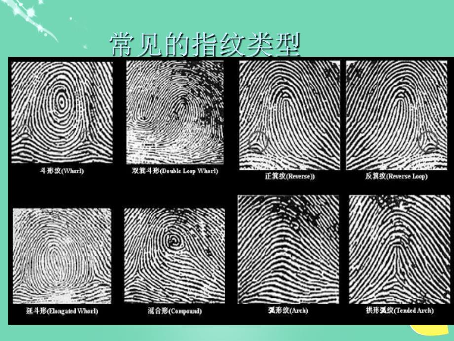 2018秋七年级科学上册 1.3《科学观察》课件3 浙教版_第3页