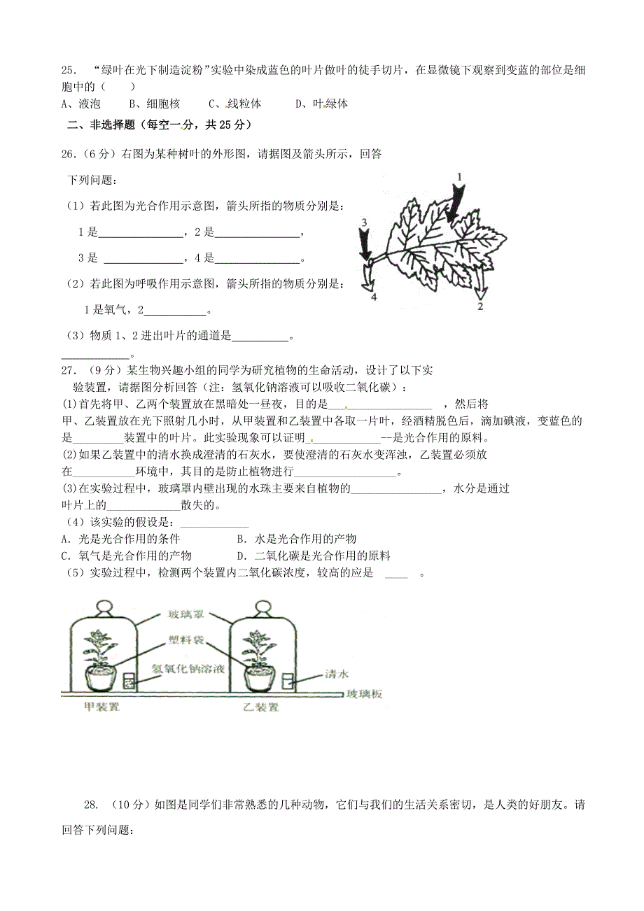 山东省枣庄市五校2011-2012学年七年级生物第二次单元质量检测试题_第3页