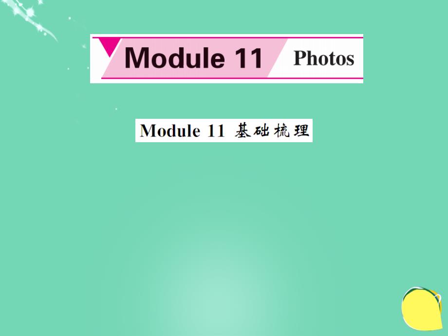2018年秋九年级英语上册 module 11 photos基础梳理课件 （新版）外研版_第1页