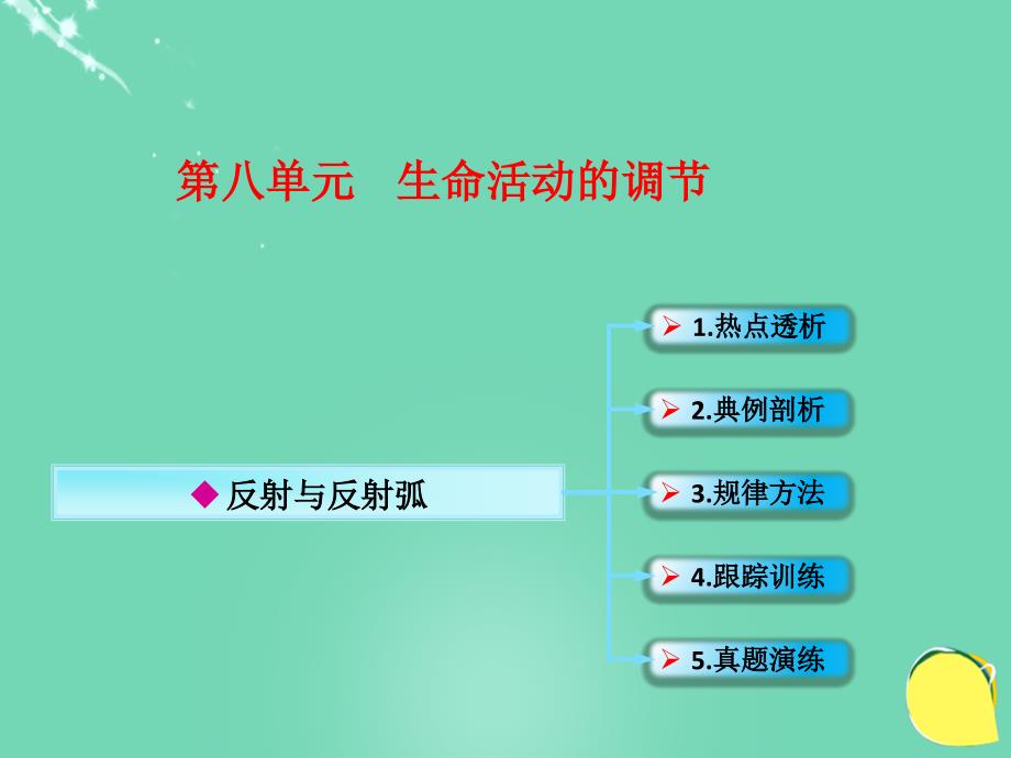 2018高考生物一轮复习 第八单元 生命活动的调节 05 反射与反射弧课件 新人教版_第1页