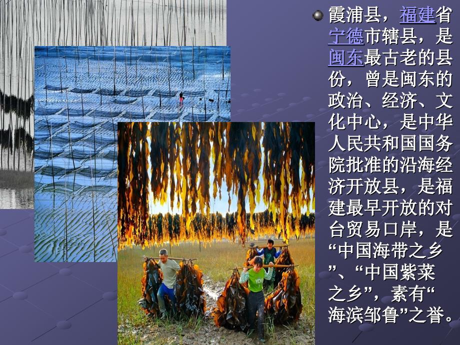 我的家乡霞浦.ppt_第3页