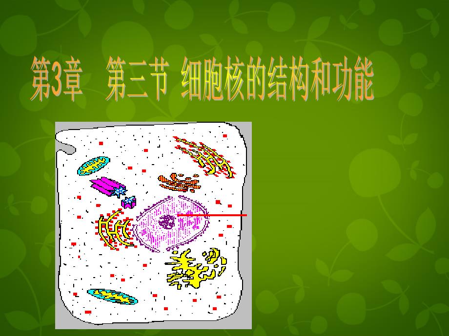 天津市梅江中学高中生物 第三章 第三节 细胞核的结构和功能课件 新人教版必修1_第1页