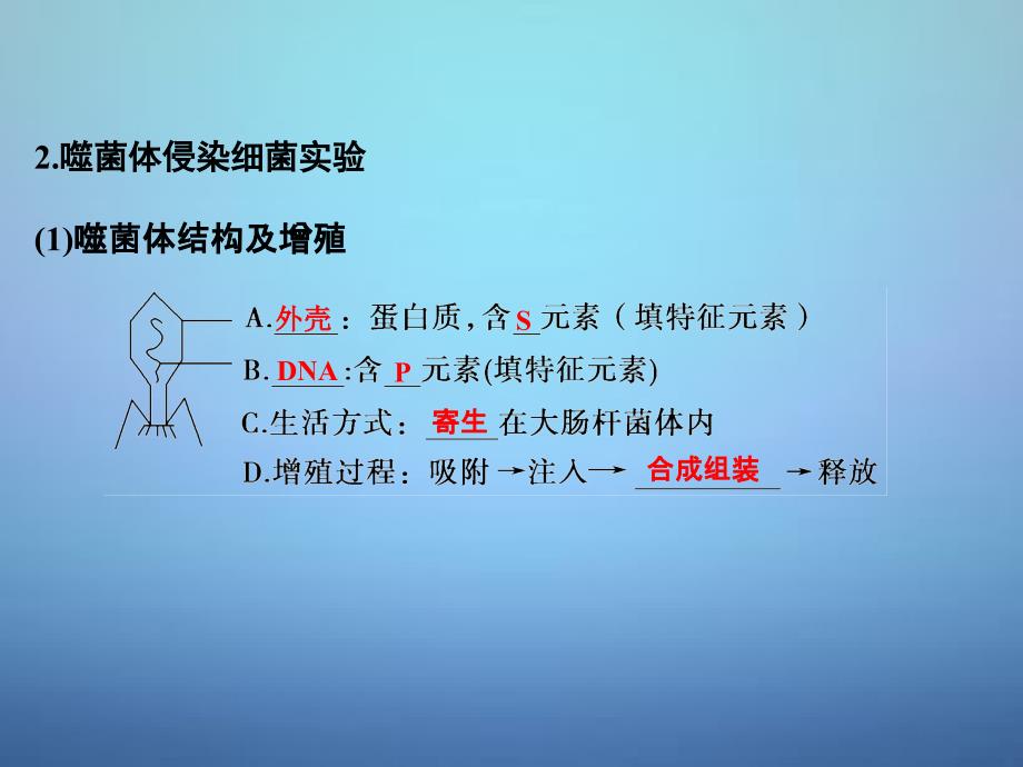 （全国通用）2018届高考生物 第四单元 专题九 遗传的分子基础课件_第4页