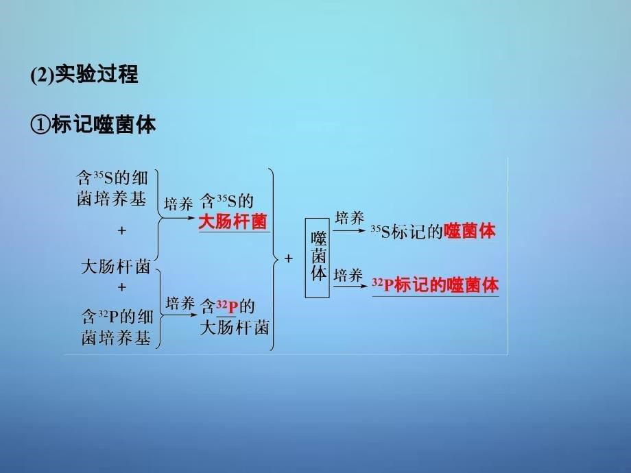 （全国通用）2018届高考生物 第四单元 专题九 遗传的分子基础课件_第5页