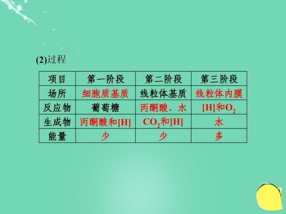 （课标版）2018届高考生物一轮总复习 第三单元 细胞的能量供应和利用 第9讲 atp的主要来源-细胞呼吸课件（必修1）_第5页