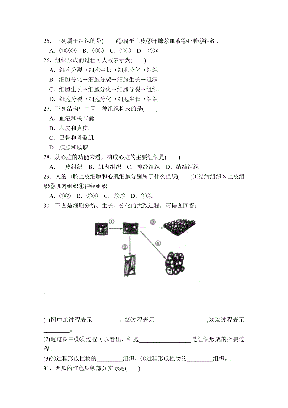 4.1.1 细胞分化形成组织 课时练 北师大七年级上.doc_第3页