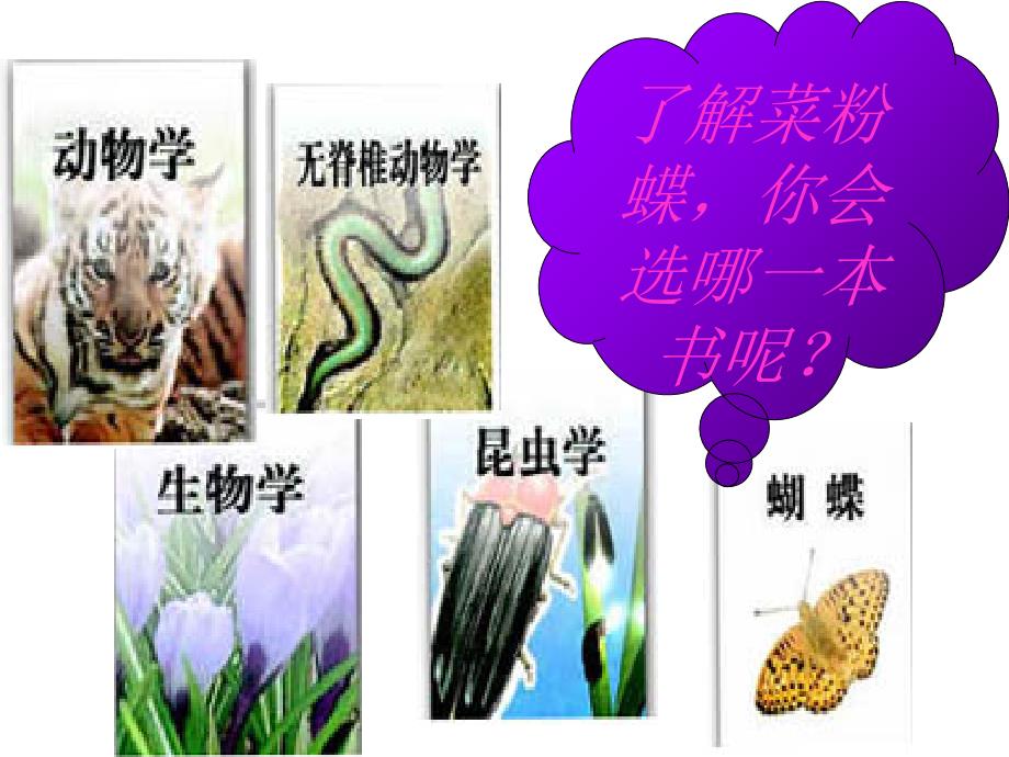 6.1尝试对生物进行分类 课件5（生物人教版八年级上册）.ppt_第3页