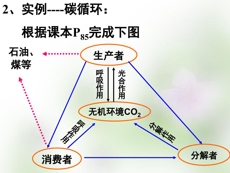 江苏省宿迁市马陵中学2018届高考生物专题复习 物质循环相信传递课件_第4页