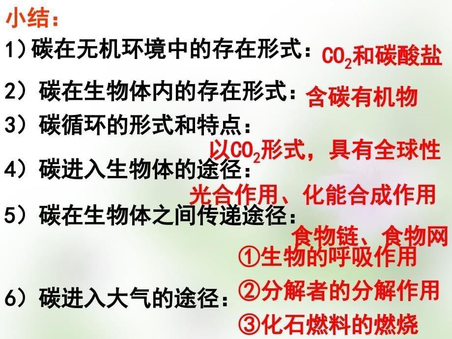 江苏省宿迁市马陵中学2018届高考生物专题复习 物质循环相信传递课件_第5页