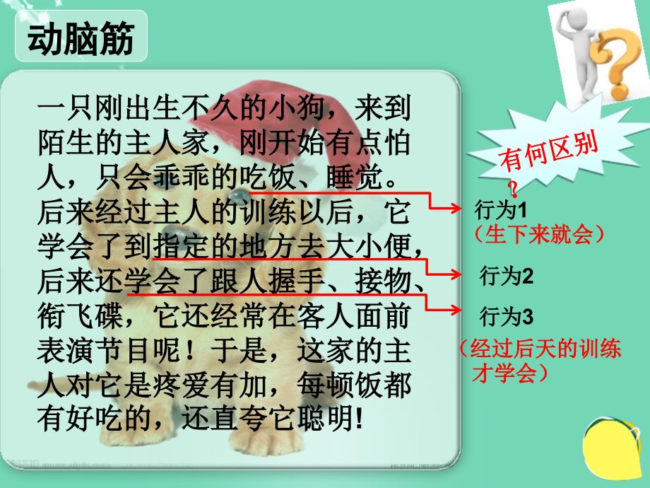 广东省东莞市八年级生物上册 第五单元 第二章 第二节 先天性行为和学习行为课件 （新版）新人教版_第2页