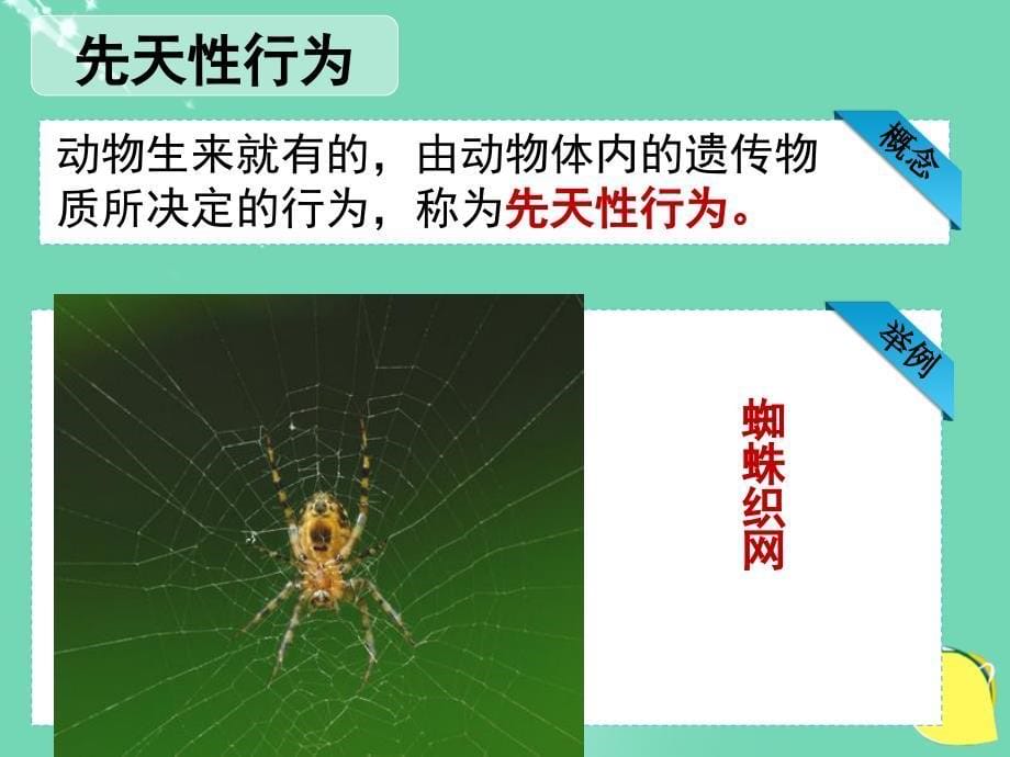 广东省东莞市八年级生物上册 第五单元 第二章 第二节 先天性行为和学习行为课件 （新版）新人教版_第5页