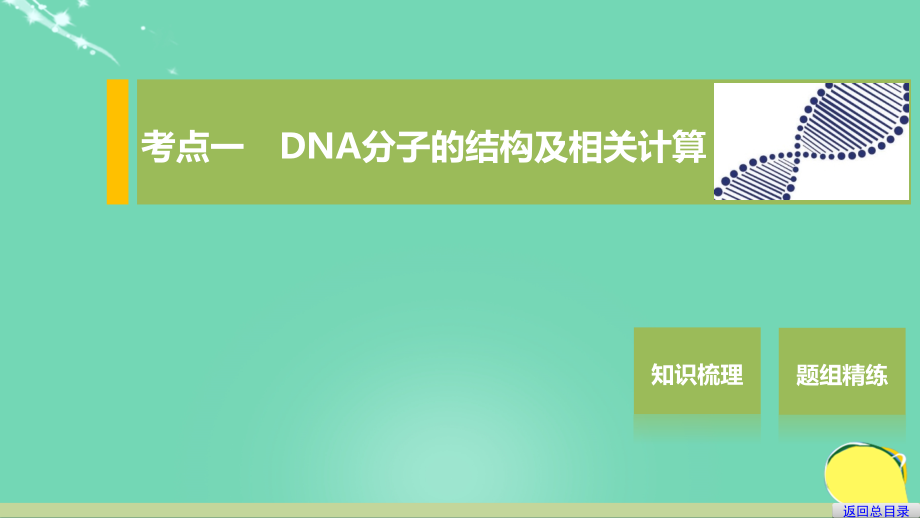 新2018版高考生物一轮复习 第五单元 遗传的分子基础 第19讲 dna的分子结构和特点、遗传信息的传递课件 浙科版_第4页