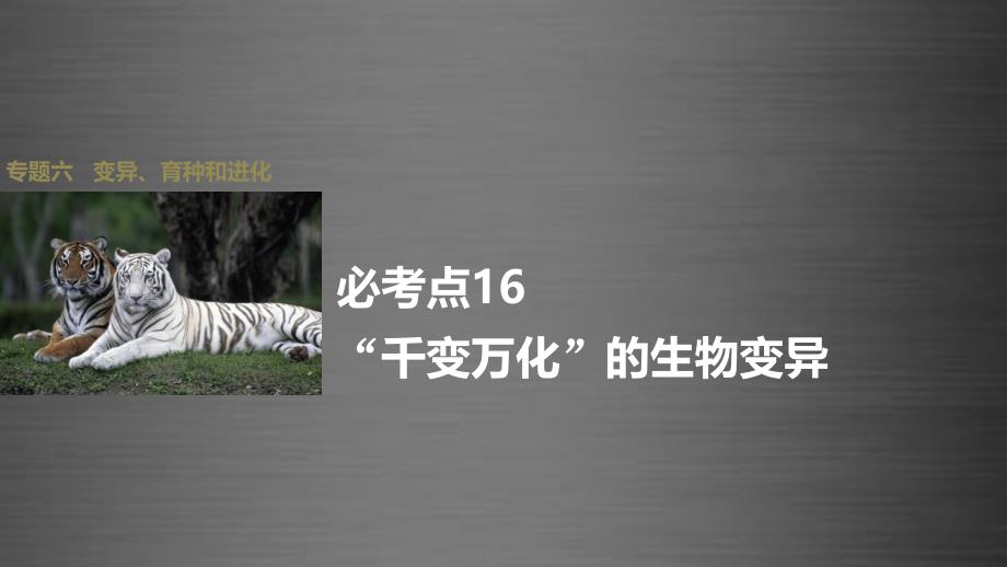 （全国专用）2018版高考生物大二轮总复习 增分策略 专题六 必考点16“千变万化”的生物变异课件_第1页