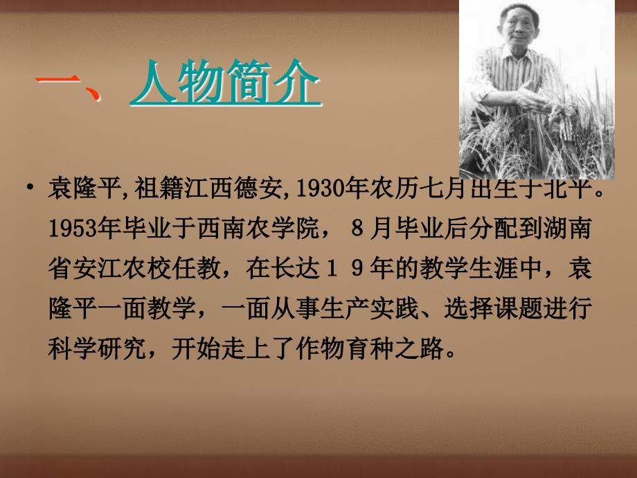 广西中峰乡育才中学八年级语文上册 8 杂交水稻之父课件 语文版_第3页