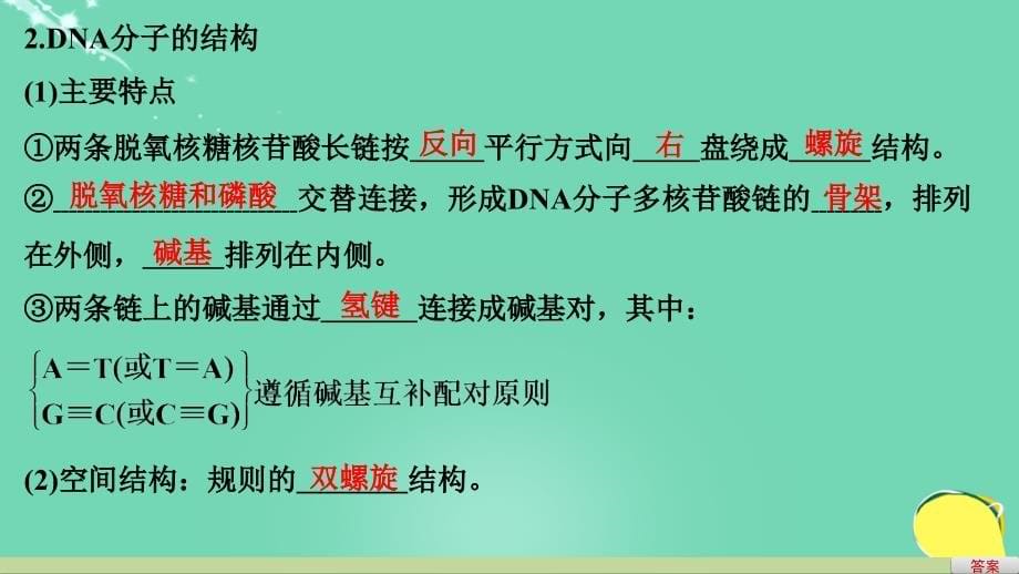 新2018高考生物一轮复习 第五单元 遗传分子的基础 第17讲 dna分子的结构、复制及基因的本质课件 北师大版_第5页